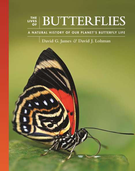 David G. James: The Lives of Butterflies, Buch