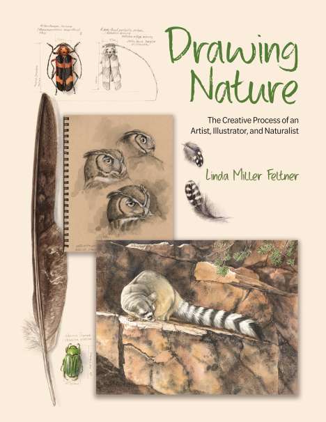 Linda Miller Feltner: Drawing Nature, Buch