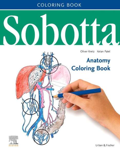 Oliver Kretz: Sobotta Anatomy Coloring Book ENGLISCH/LATEIN, Buch