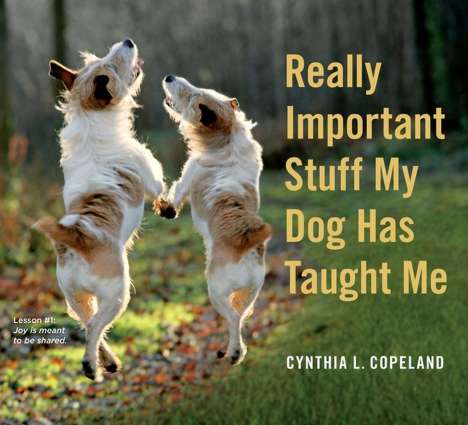 Cynthia L. Copeland: Really Important Stuff My Dog Has Taught Me, Buch