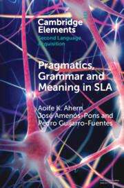 Aoife K Ahern: Pragmatics, Grammar and Meaning in Sla, Buch