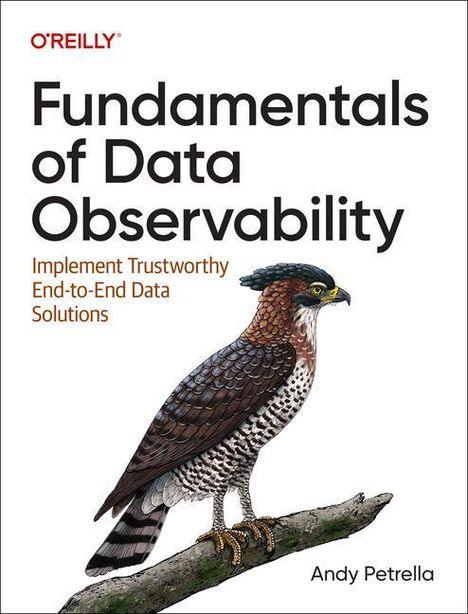 Andy Petrella: Fundamentals of Data Observability, Buch