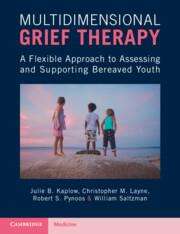 Christopher M. Layne: Multidimensional Grief Therapy, Buch