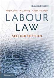 Aileen McColgan: Labour Law, Buch