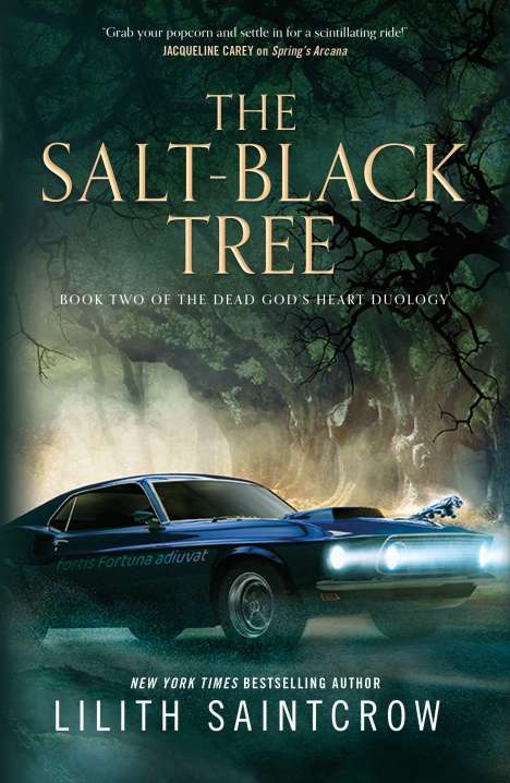 Lilith Saintcrow: The Salt-Black Tree, Buch