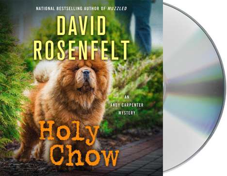 David Rosenfelt: Holy Chow, CD