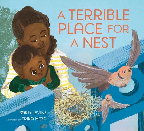 Sara Levine: A Terrible Place for a Nest, Buch