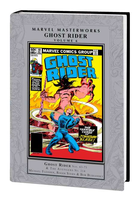 Michael Fleisher: Fleisher, M: Marvel Masterworks: Ghost Rider Vol. 6, Buch