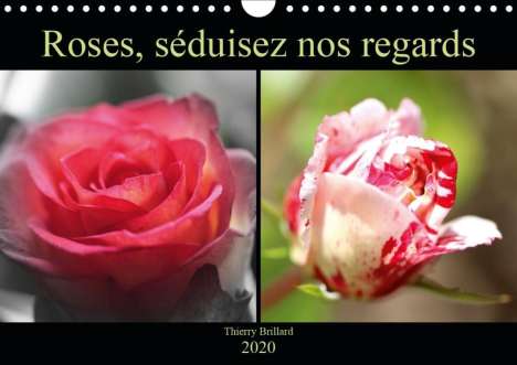 Thierry Brillard: Brillard, T: Roses, séduisez nos regards (Calendrier mural 2, Kalender