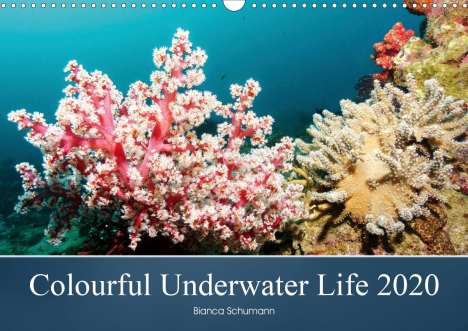 Bianca Schumann: Schumann, B: Colourful Underwater Life 2020 (Wall Calendar 2, Kalender
