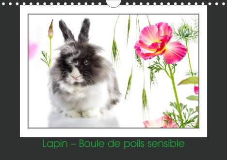 Kathy Mahevo: Mahevo, K: Lapin - Boule de poils sensible (Calendrier mural, Kalender