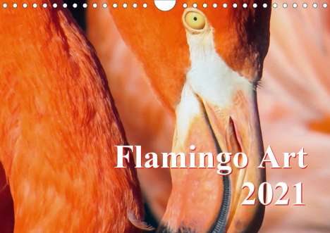 Max Steinwald: Steinwald, M: Flamingo Art 2021 UK-Version (Wall Calendar 20, Kalender