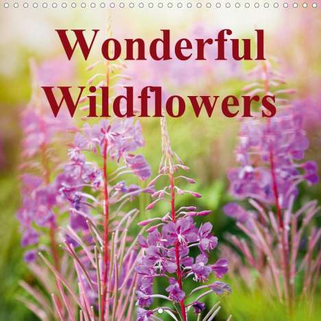 Neil Davies: Davies, N: Wonderful Wildflowers (Wall Calendar 2021 300 × 3, Kalender