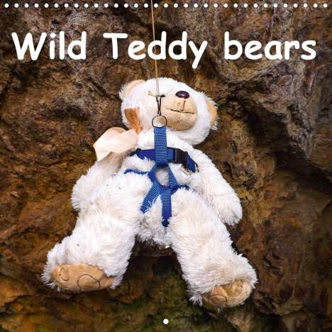 Karin Sigwarth: Sigwarth, K: Wild Teddy bears (Wall Calendar 2021 300 × 300, Kalender