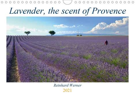 Reinhard Werner: Werner, R: Lavender, the scent of Provence (Wall Calendar 20, Kalender