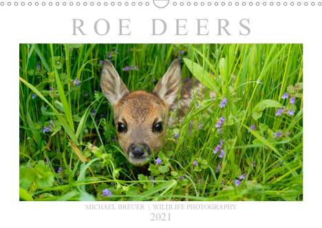 Michael Breuer: Breuer, M: Roe Deers (Wall Calendar 2021 DIN A3 Landscape), Kalender