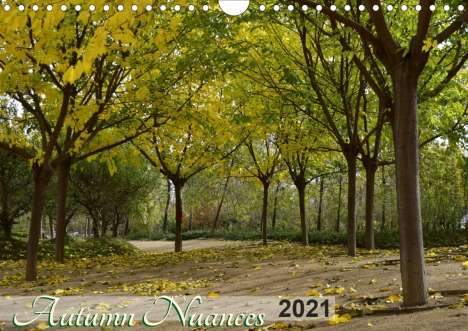 Martiniano Ferraz: Ferraz, M: Autumn Nuances (Wall Calendar 2021 DIN A4 Landsca, Kalender
