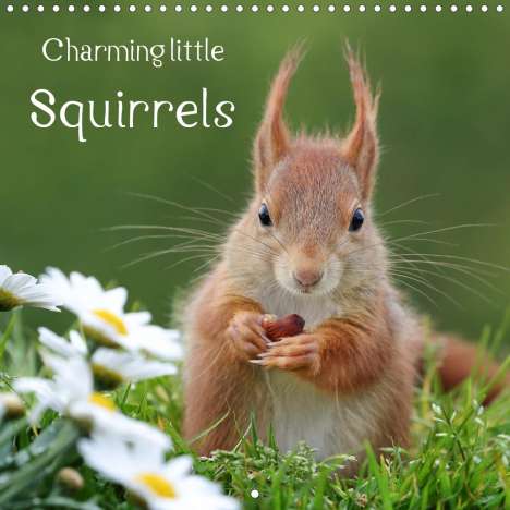 Tine Meier: Meier, T: Charming little squirrels (Wall Calendar 2021 300, Kalender
