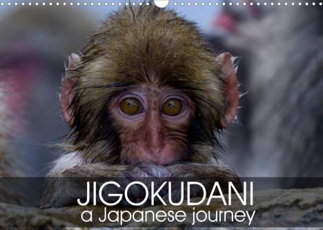 Michel Hagege: Hagege, M: Jigokudani a japanese journey (Wall Calendar 2022, Kalender