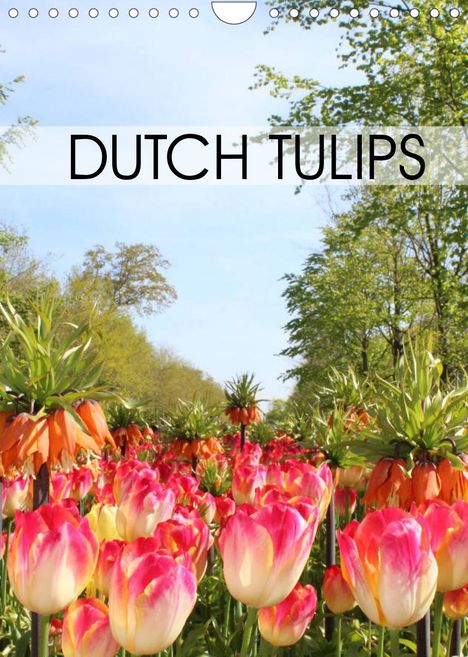 Gemma Baas-San Jose: Baas-San Jose, G: Dutch Tulips (Wall Calendar 2022 DIN A4 Po, Kalender