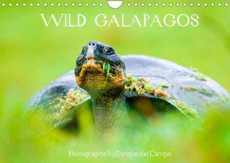 Enrique Del Campo: Del Campo, E: WILD GALAPAGOS (Wall Calendar 2022 DIN A4 Land, Kalender