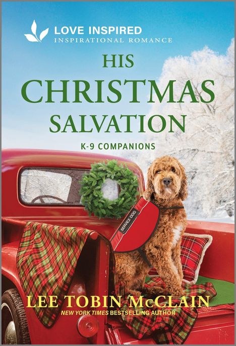 Lee Tobin McClain: His Christmas Salvation, Buch