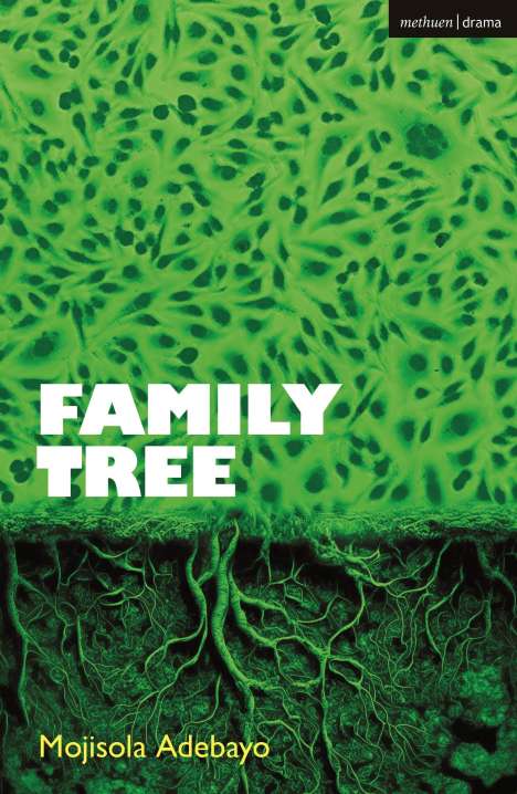 Mojisola Adebayo: Family Tree, Buch