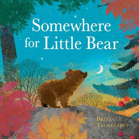 Britta Teckentrup: Somewhere for Little Bear, Buch