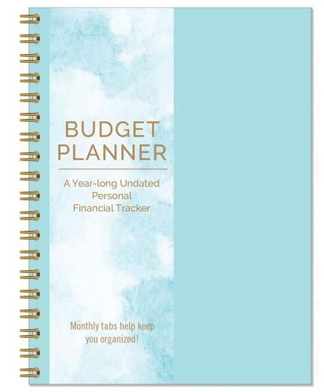 Budget Planner (a Monthly Money Tracker for One Year), Buch
