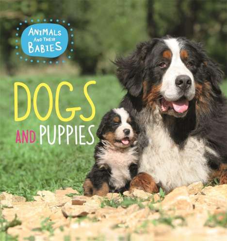 Annabelle Lynch: Lynch, A: Animals and their Babies: Dogs &amp; puppies, Buch