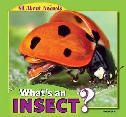 Anna Kaspar: What's an Insect?, Buch