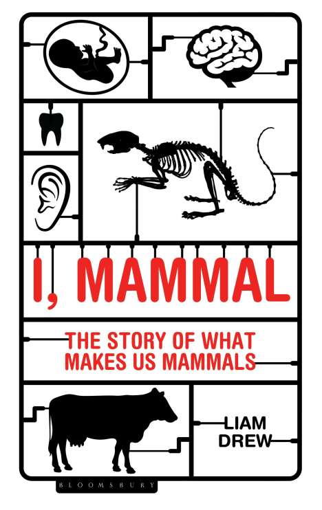 Liam Drew: I, Mammal, Buch