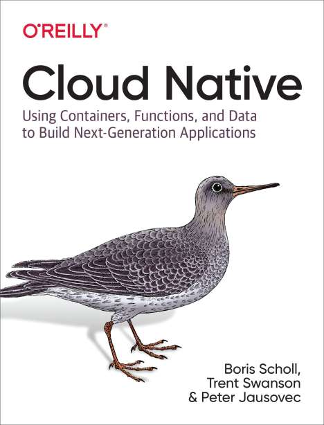 Boris Scholl: Cloud Native, Buch