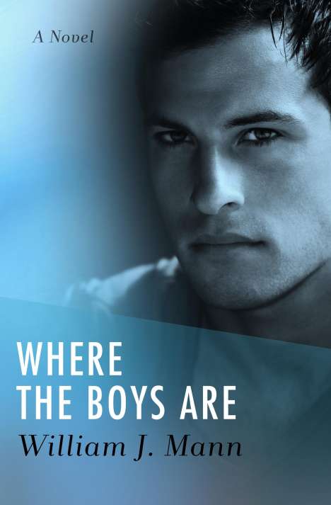 William J. Mann: Where The Boys Are, Buch
