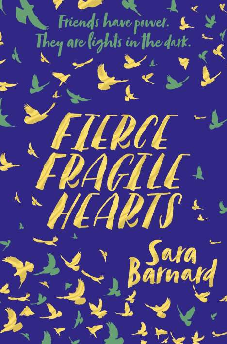 Sara Barnard: Barnard, S: Fierce Fragile Hearts, Buch