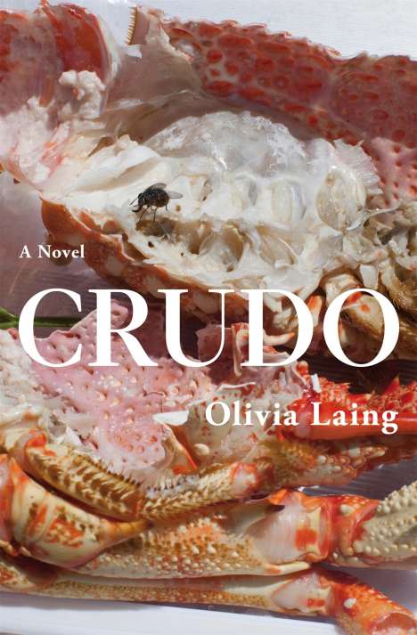 Olivia Laing: Crudo, Buch