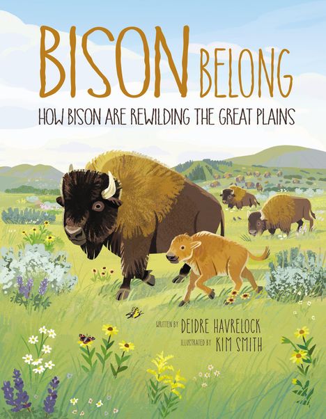 Titel: "Bison Belong: How Bison Are Rewilding the Great Plains". Bisonherde und Blumenwiese in malerischem Stil.