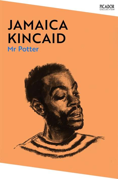Jamaica Kincaid: Mr Potter, Buch