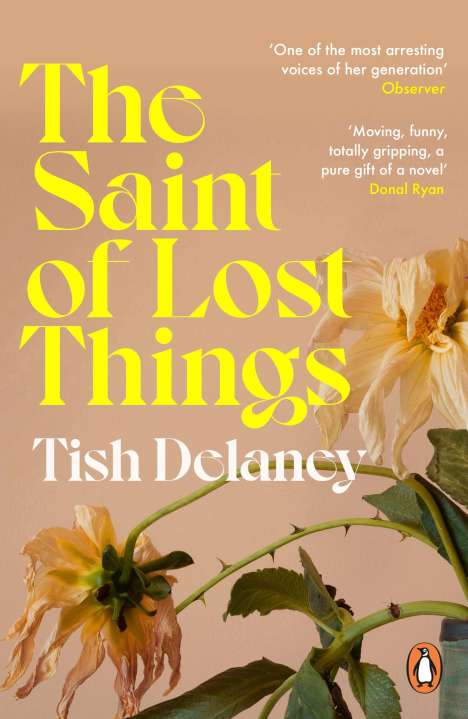 Tish Delaney: The Saint of Lost Things, Buch