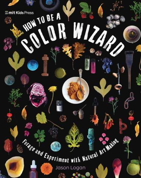 Jason Logan: How to Be a Color Wizard: Forage and Experiment with Natural Art Making, Buch