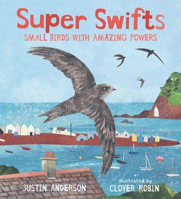 Justin Anderson: Super Swifts: Small Birds with Amazing Powers, Buch