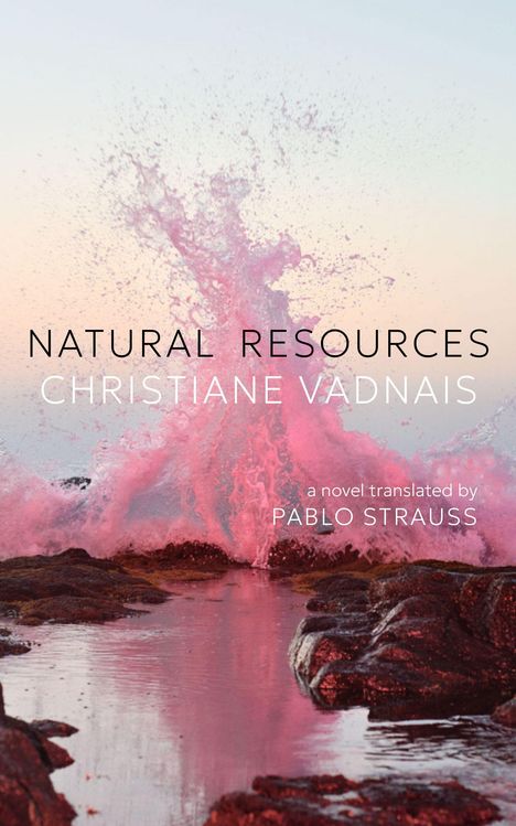 „Natural Resources“ von Christiane Vadnais, übersetzt von Pablo Strauss. Pinke Welle trifft auf Felsen im Sonnenuntergang.