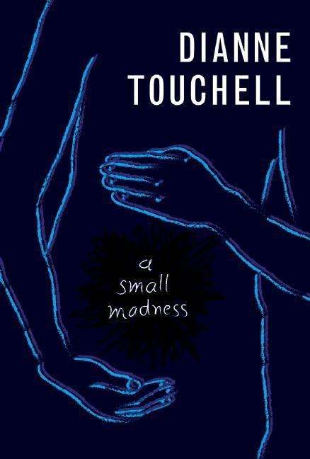 Dianne Touchell: A Small Madness, Buch