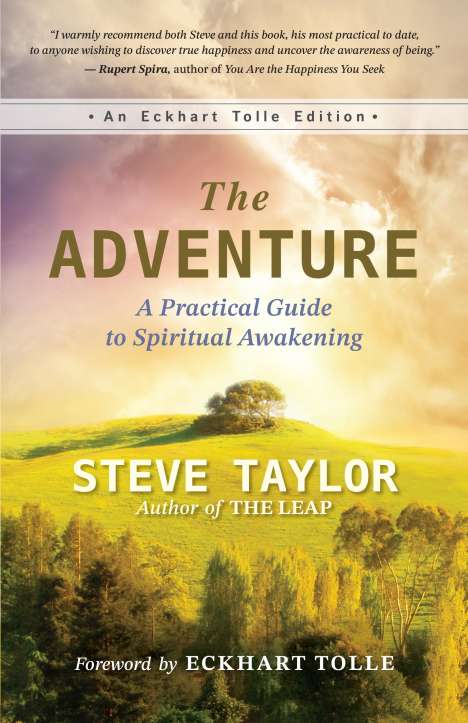 Steve Taylor: The Adventure, Buch