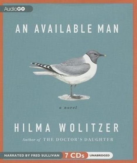 Hilma Wolitzer: An Available Man, CD