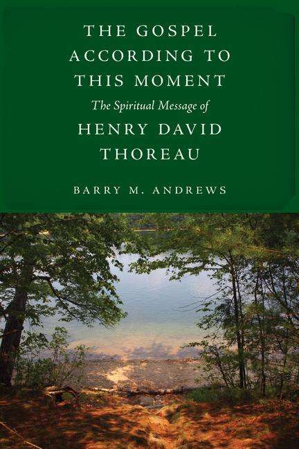 Barry M Andrews: The Gospel According to This Moment, Buch