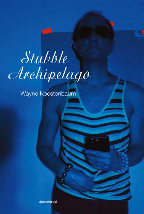 Wayne Koestenbaum: Stubble Archipelago, Buch
