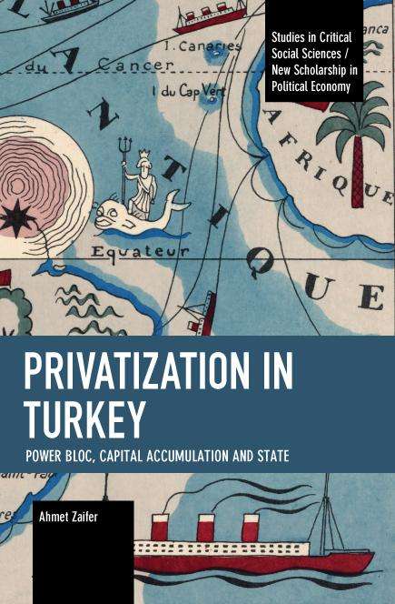 Ahmet Zaifer: Privatization in Turkey, Buch