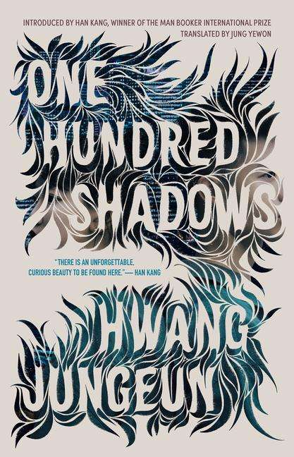 Hwang Jungeun: One Hundred Shadows, Buch