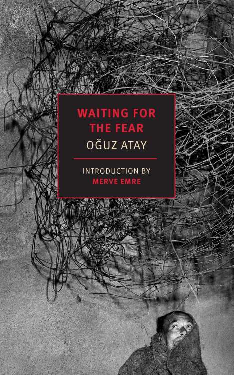Oguz Atay: Waiting for the Fear, Buch